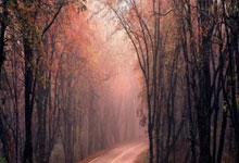 国足必须拿下他！华裔归化再次爆发：2数据杀入澳超前10！.