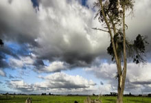 欧博ABG：【理响中国】进一步深化改革 赋能城乡融合高质量发展.