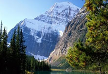 欧博ABG：恩裏克抱怨草皮 足協派遣工作人員修整.